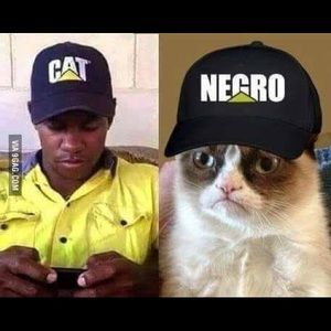 Meet your Posher, Edgar